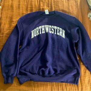 Champion Northwestern University Wildcats sweatshirt